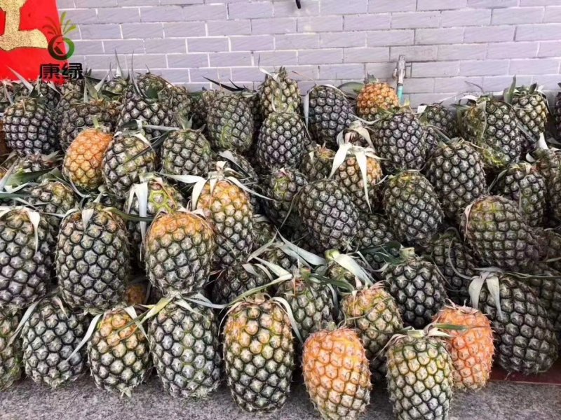 【推荐】广东凤梨精品菠萝产地直供保质保量量大优惠