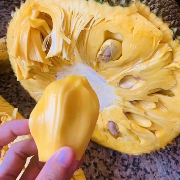 30-35斤53海南菠萝蜜一件代价格优惠质量保证，