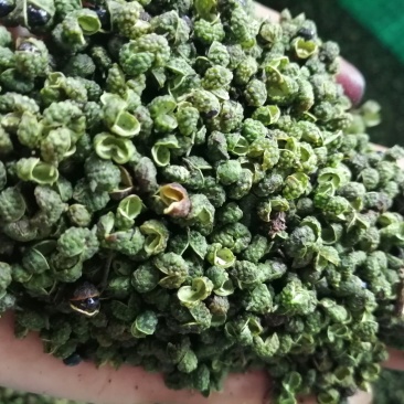 【推荐】青花椒四川青麻花椒产地直供保质保量！