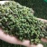 【推荐】青花椒四川青麻花椒产地直供保质保量！