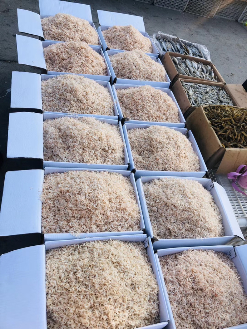山东无盐大虾皮。海产品加工户直销。产地直发无差价