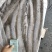 带鱼灯光船冻规格齐全。新鲜整条无冰，品相佳