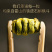 正宗霍山铁皮石斛枫斗颗粒铁皮石斛条特级胶质