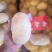 甘肃精品土豆量大质优产地直供欢迎来电咨询洽谈