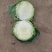 【莲花白】莲花白甘蓝山西精品圆包菜大量上市欢迎光临合作共赢