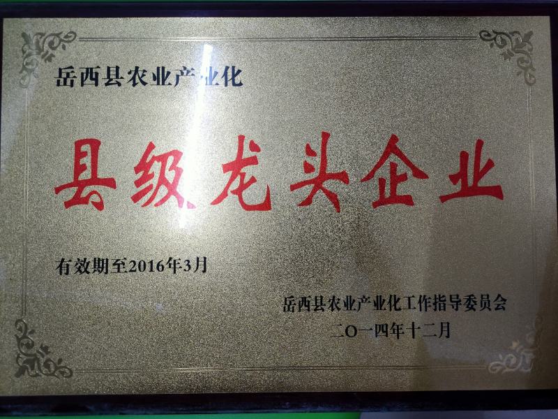 【包技术包回收】全新瓜蒌种苗优质高产高存活率签订收购合同