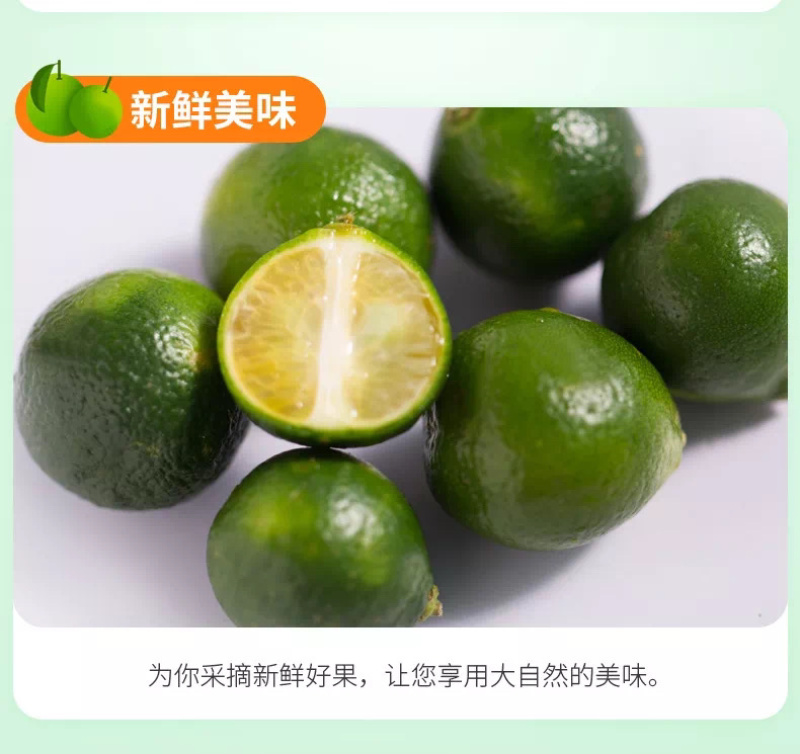 海南三鲜果汇小青金桔产地直销
