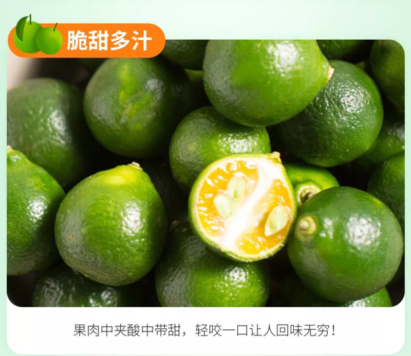 海南三鲜果汇小青金桔产地直销