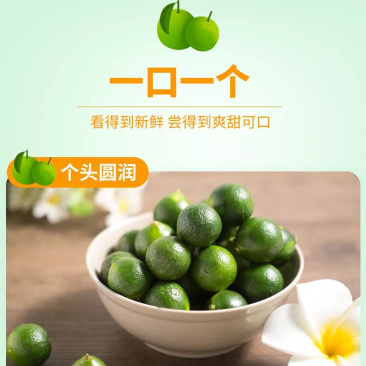 海南三鲜果汇小青金桔产地直销