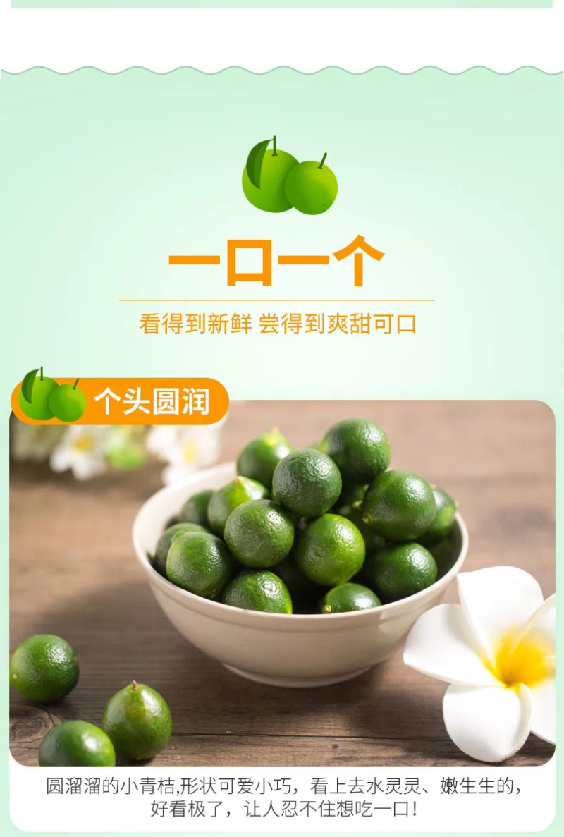 海南三鲜果汇小青金桔产地直销