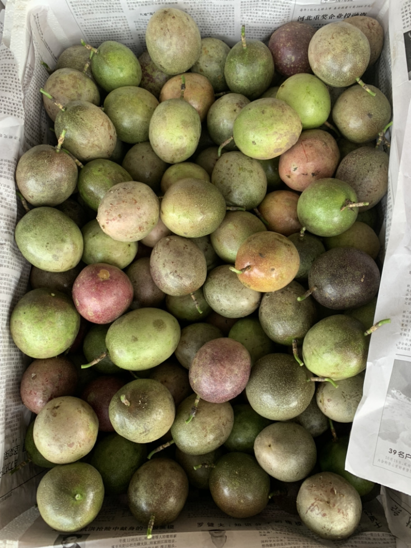 云南百香果批发基地，支持一件代发