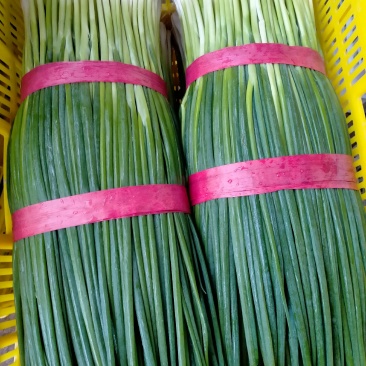 香葱油菜青蒜苗以及各种蔬菜