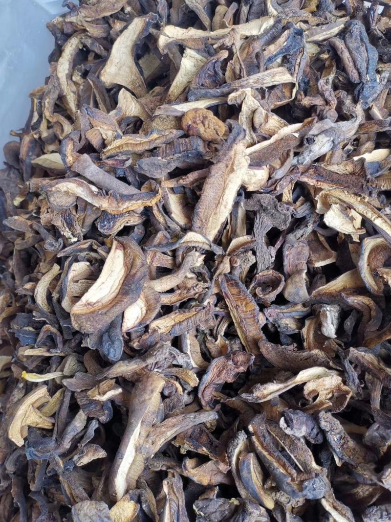 云南特产牛肝菌黑牛肝菌黑木瓦菌老家产地货源大量供应