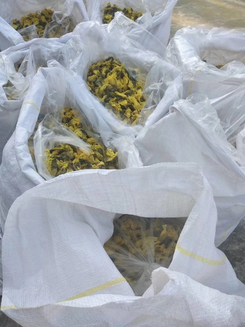 新货黄蜀葵大量加工中，精选统货无黑头