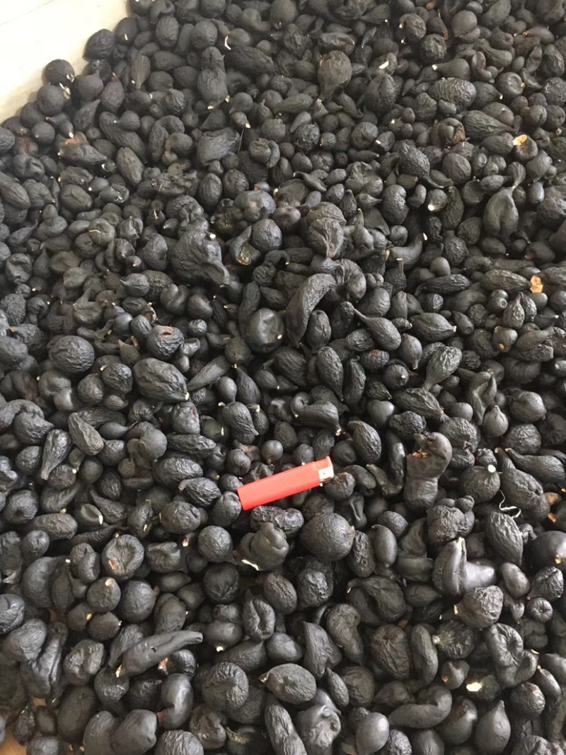 乌灵参干品批发个子统货