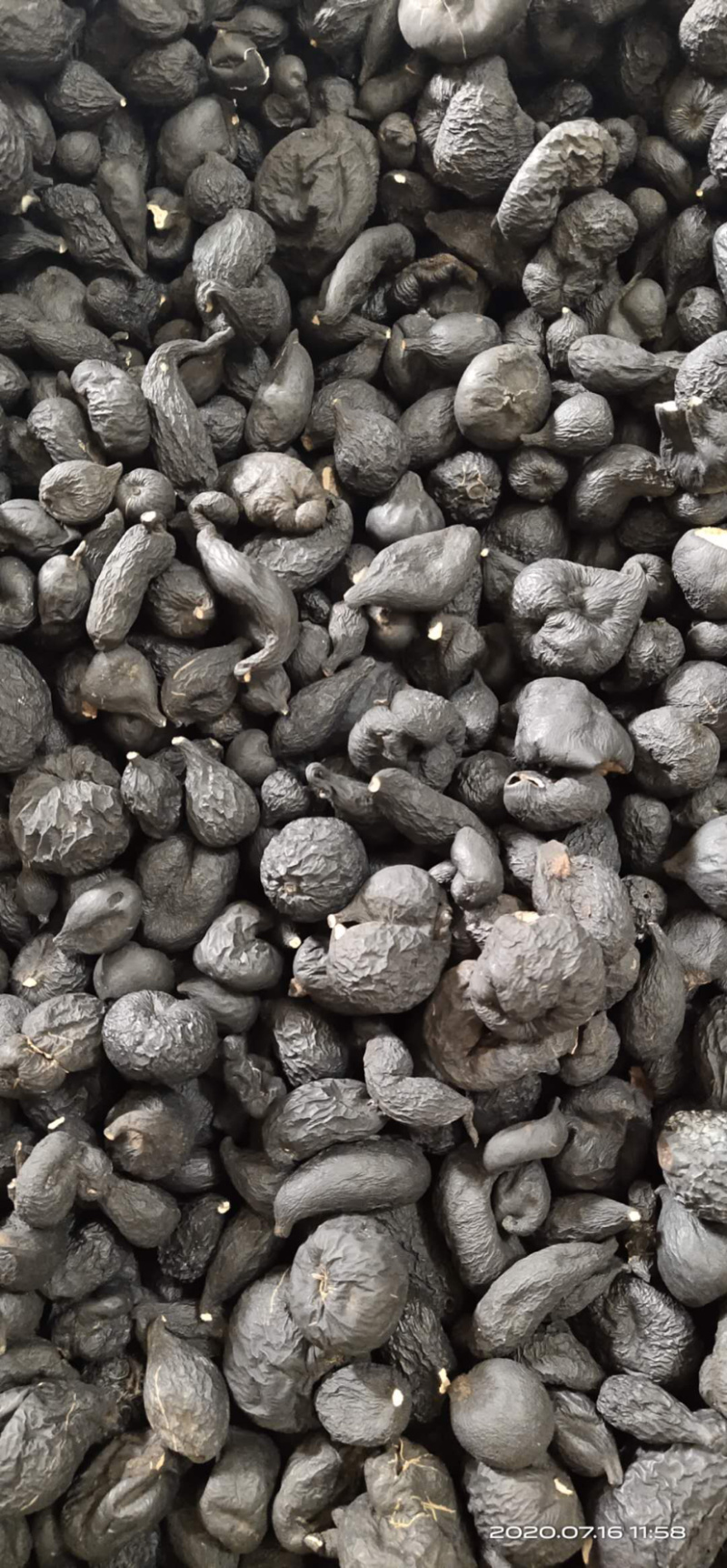 乌灵参干品批发个子统货