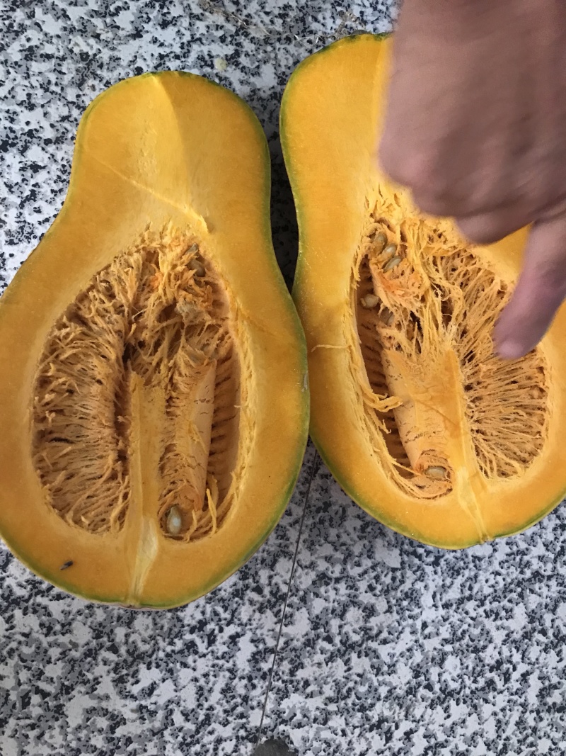 早熟王中王湖南货没有一个泡水瓜，质量杠杠滴