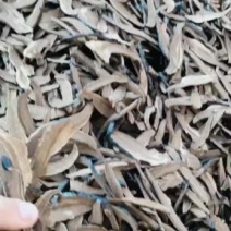 纯手工黑芝切片基地直供，一手货源