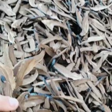 纯手工黑芝切片基地直供，一手货源
