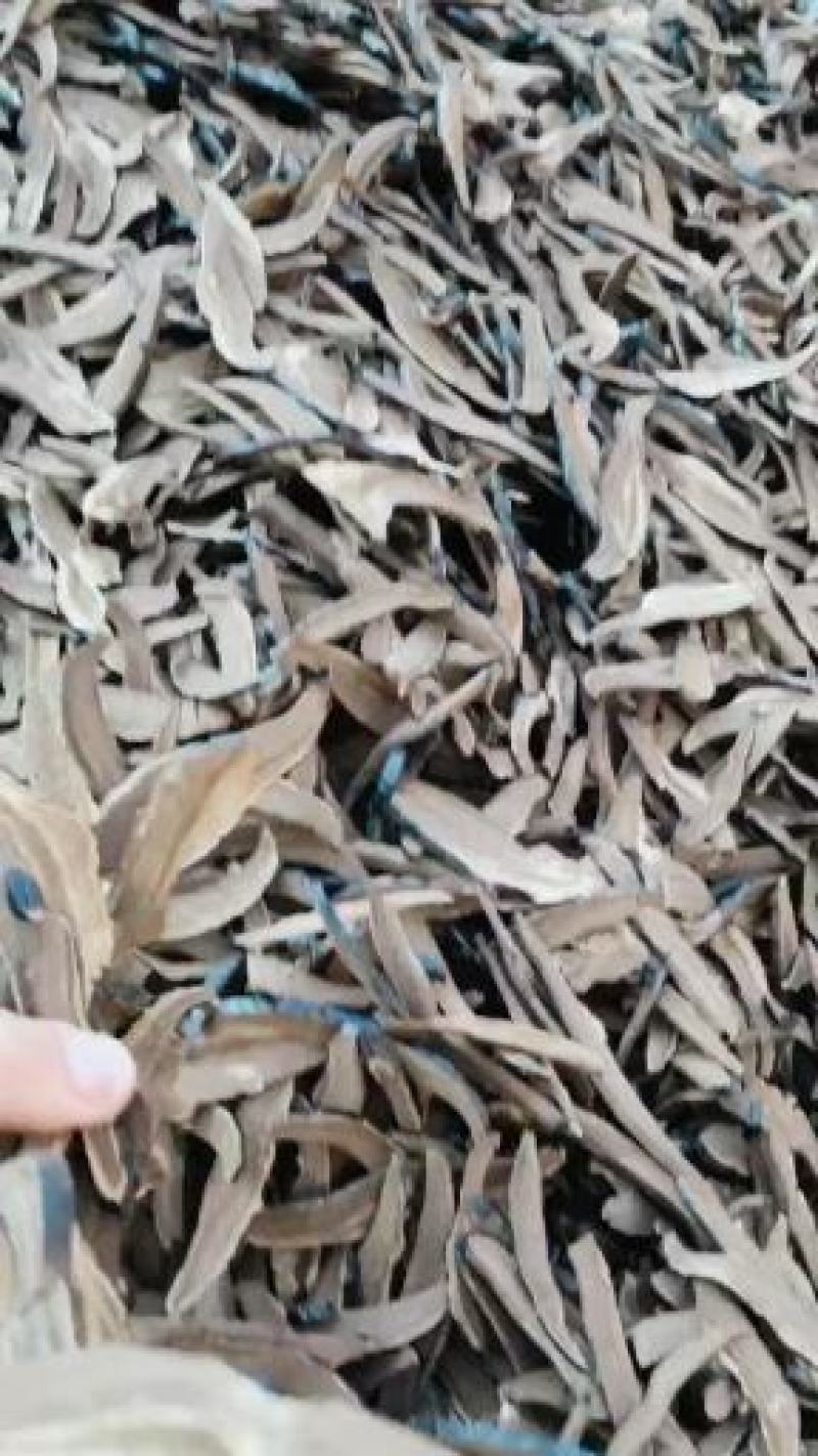 纯手工黑芝切片基地直供，一手货源