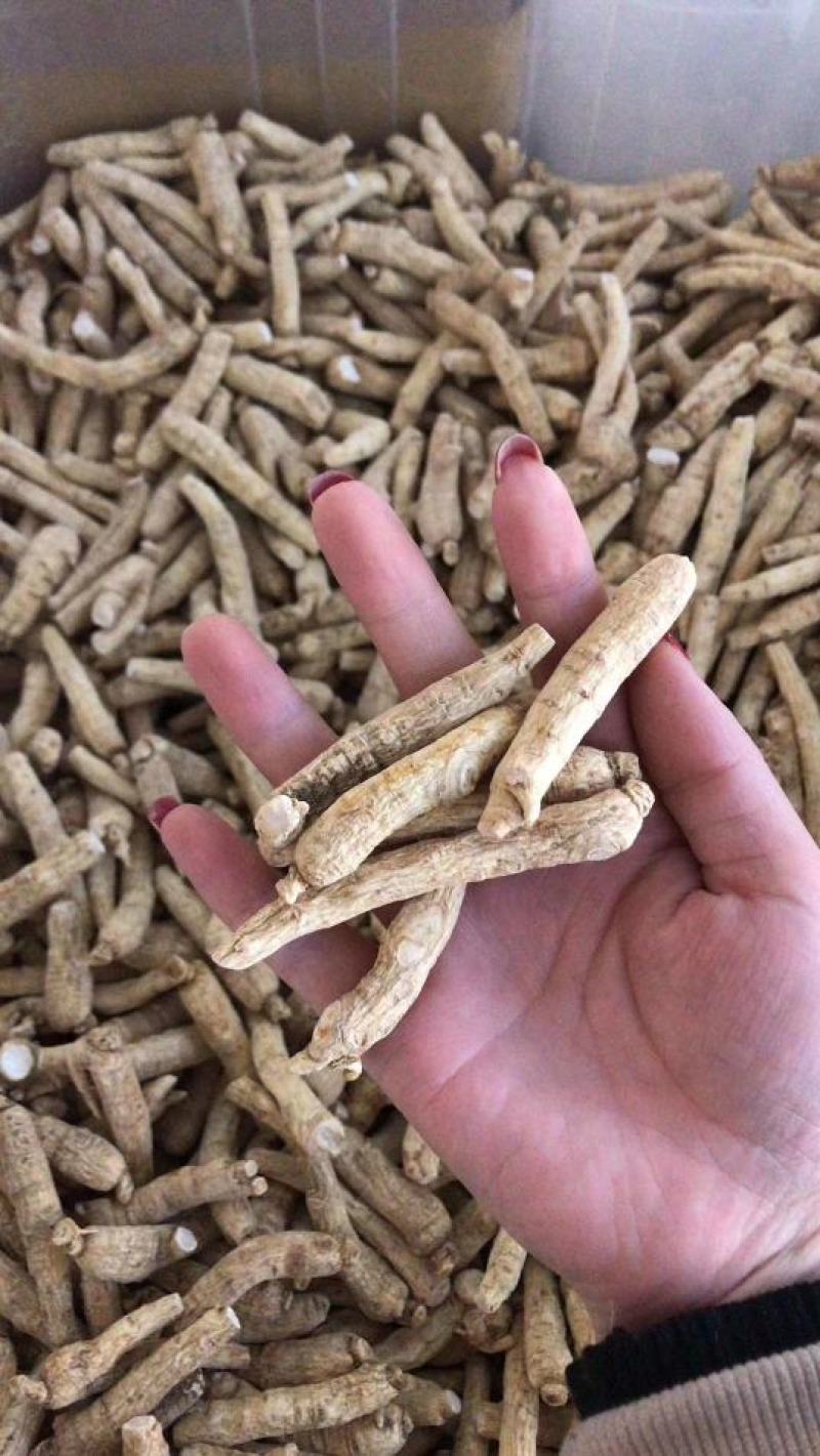 【有好货】西洋参西洋参长条自产自销包邮
