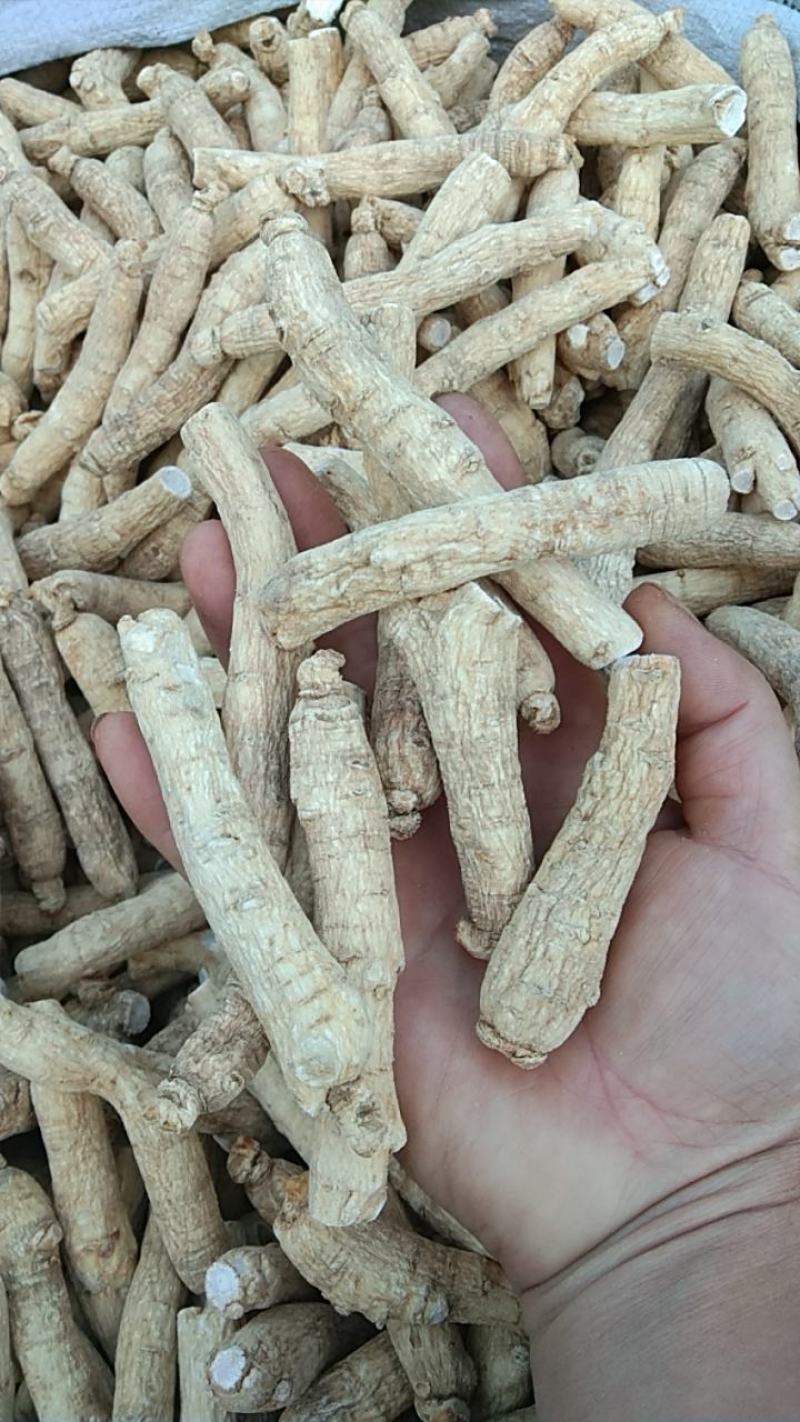 【有好货】西洋参西洋参长条自产自销包邮