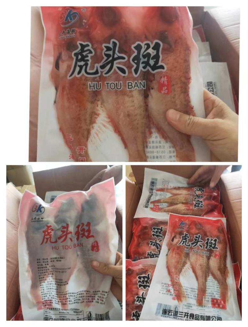 虎头斑鱼鲜活冷冻老虎斑鱼石斑鱼深海鱼速冻鲜活海鲜