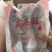 虎头斑鱼鲜活冷冻老虎斑鱼石斑鱼深海鱼速冻鲜活海鲜