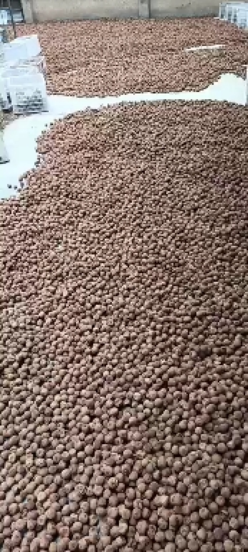 源头厂家批发产地优质桂味荔枝干