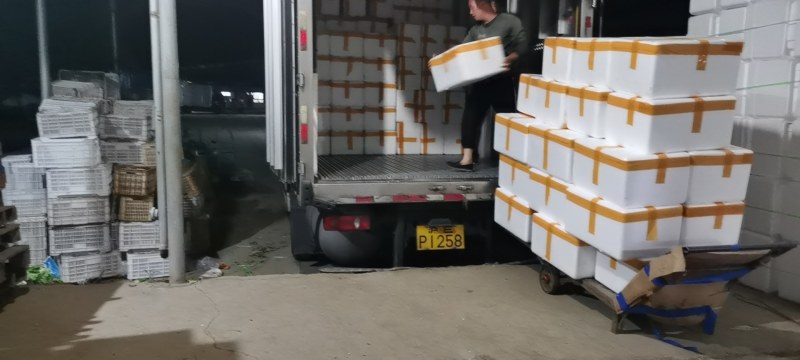 芥兰基地直批10000斤起。有量的欢迎来骚扰
