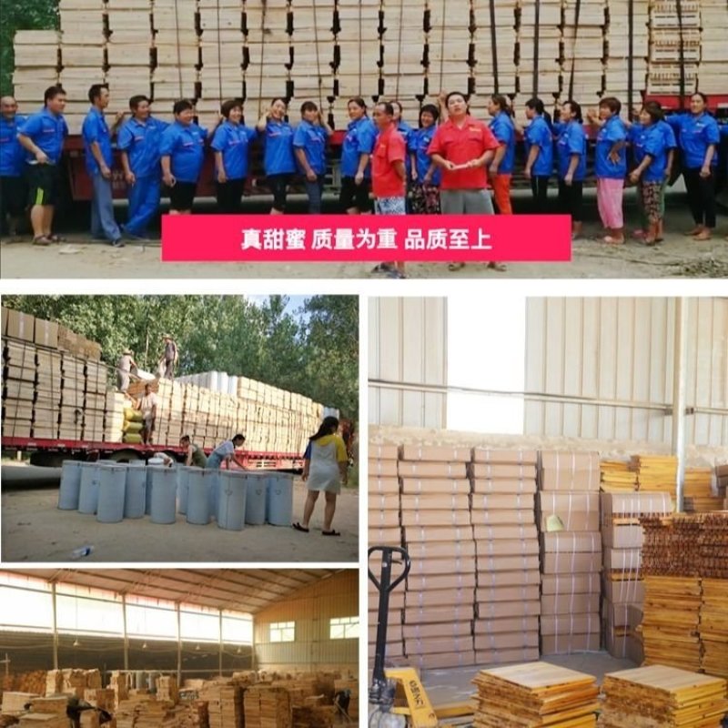 养蜂箱新手养蜂全套木箱一套发货
