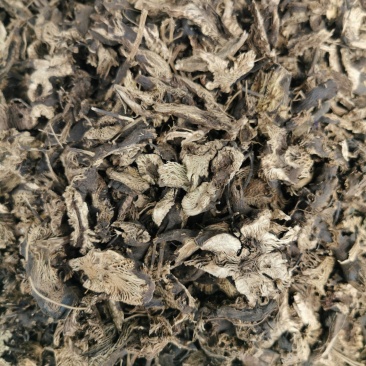 升麻升麻片产地直销量大从优一手货源