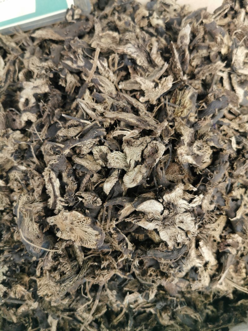 升麻升麻片产地直销量大从优一手货源