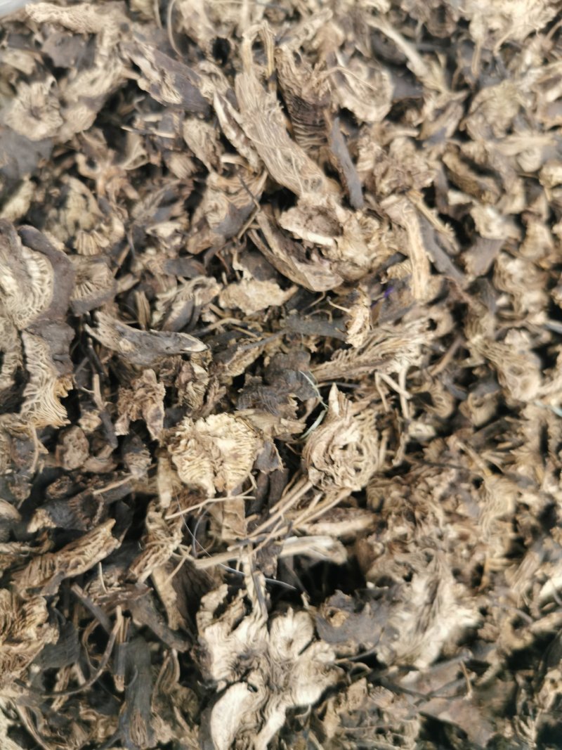 升麻升麻片产地直销量大从优一手货源