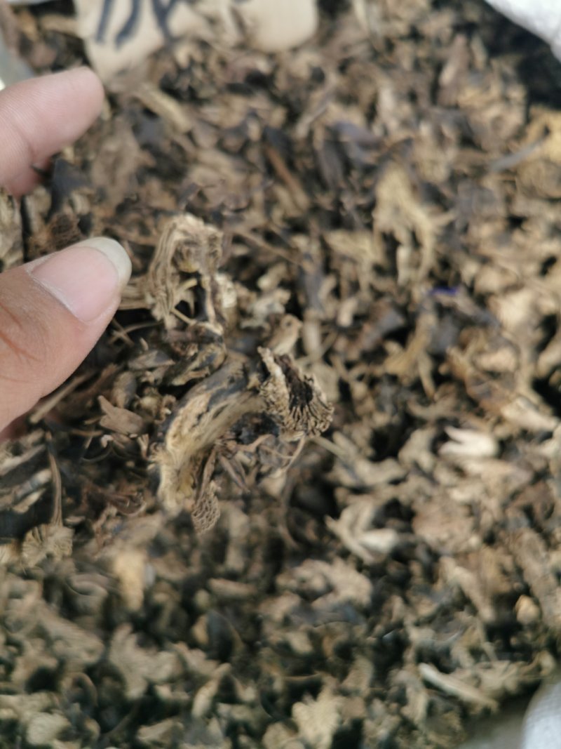 升麻升麻片产地直销量大从优一手货源