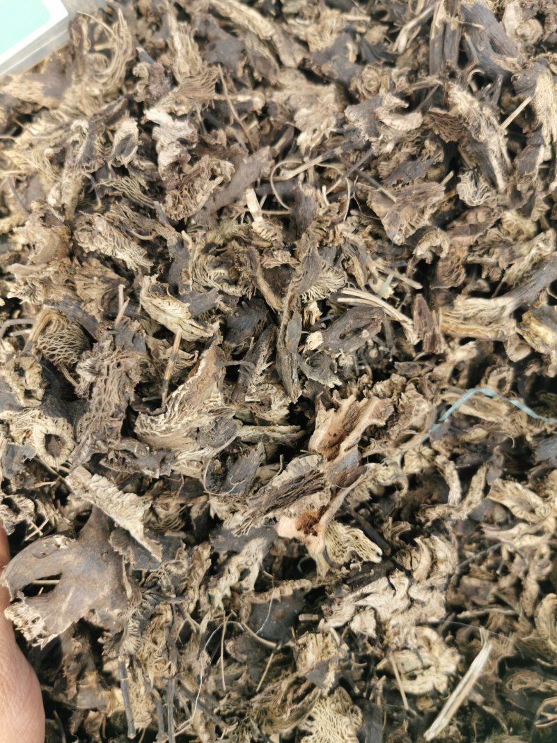 升麻升麻片产地直销量大从优一手货源