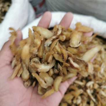 黄精黄精片产地直销量大从优