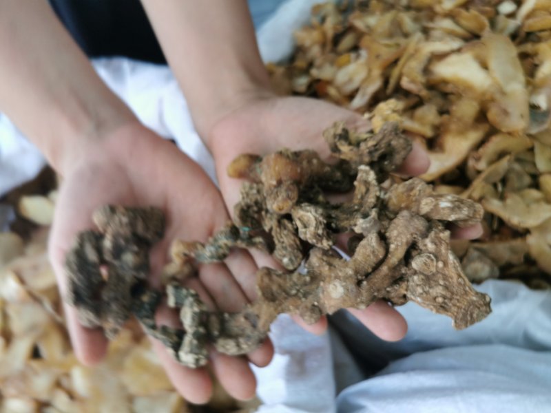 黄精黄精个产地直销量大从优一手货源