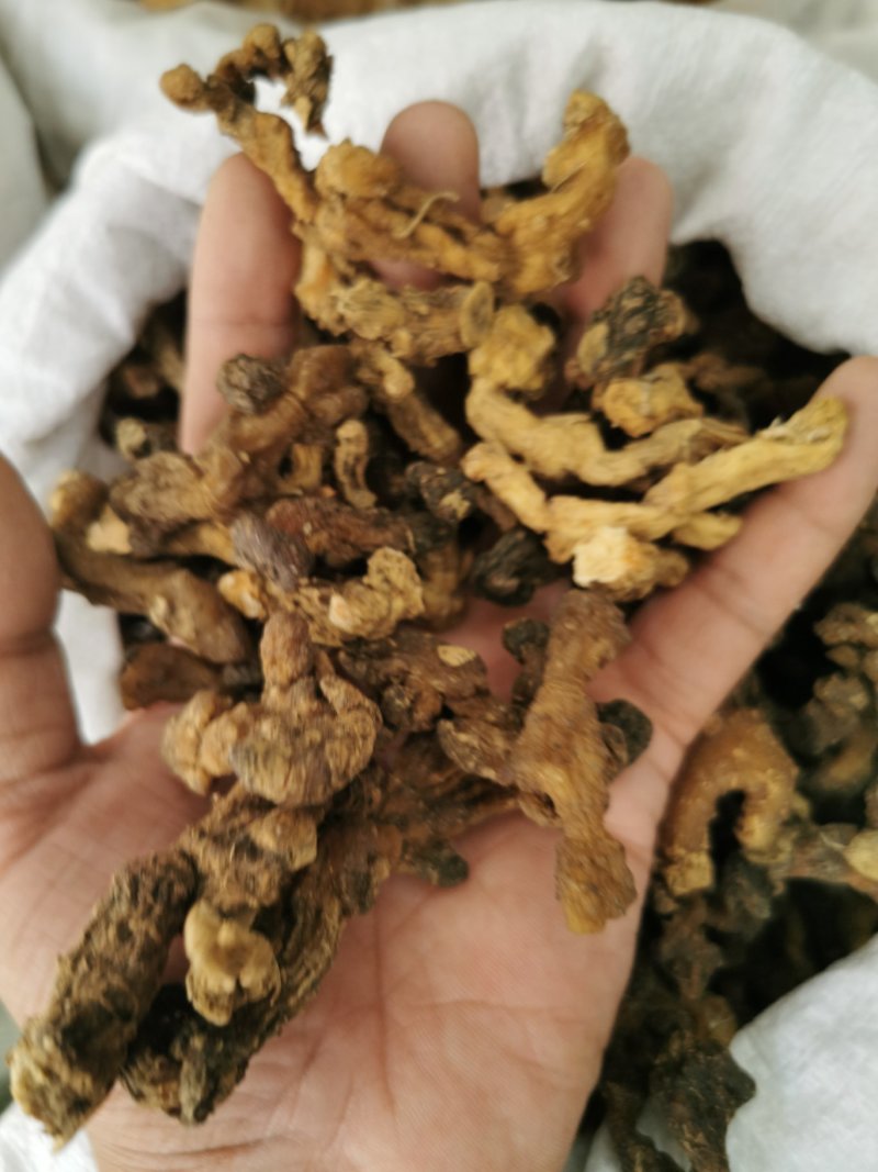 黄精黄精个产地直销量大从优一手货源