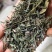 柴胡柴胡苗竹节柴胡新货颜色绿关书药业