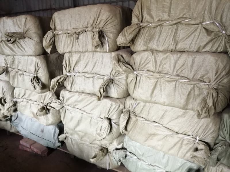 紫苏叶，紫苏鲜货干货正在下单