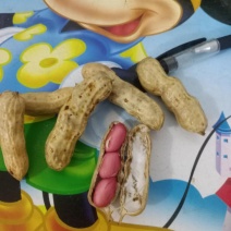 鲜花生大量上市量大，品质好，去尾巴，饱满