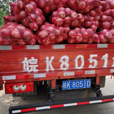 大量供应二红洋葱鲜货，有要的联系