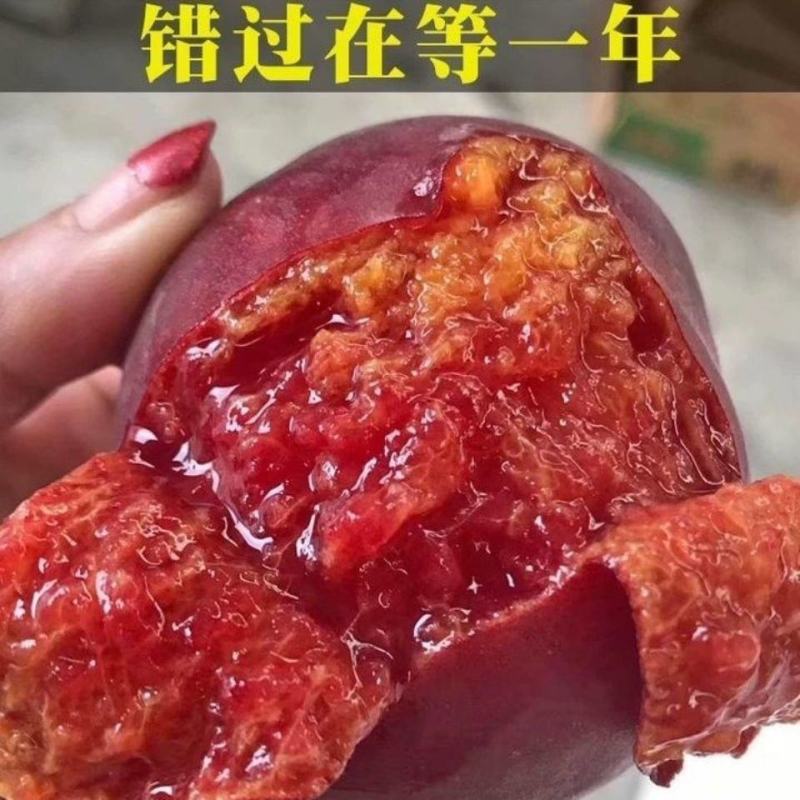 新鲜老树血桃朱砂红现摘红肉桃子当季时令孕妇水果3斤5斤整