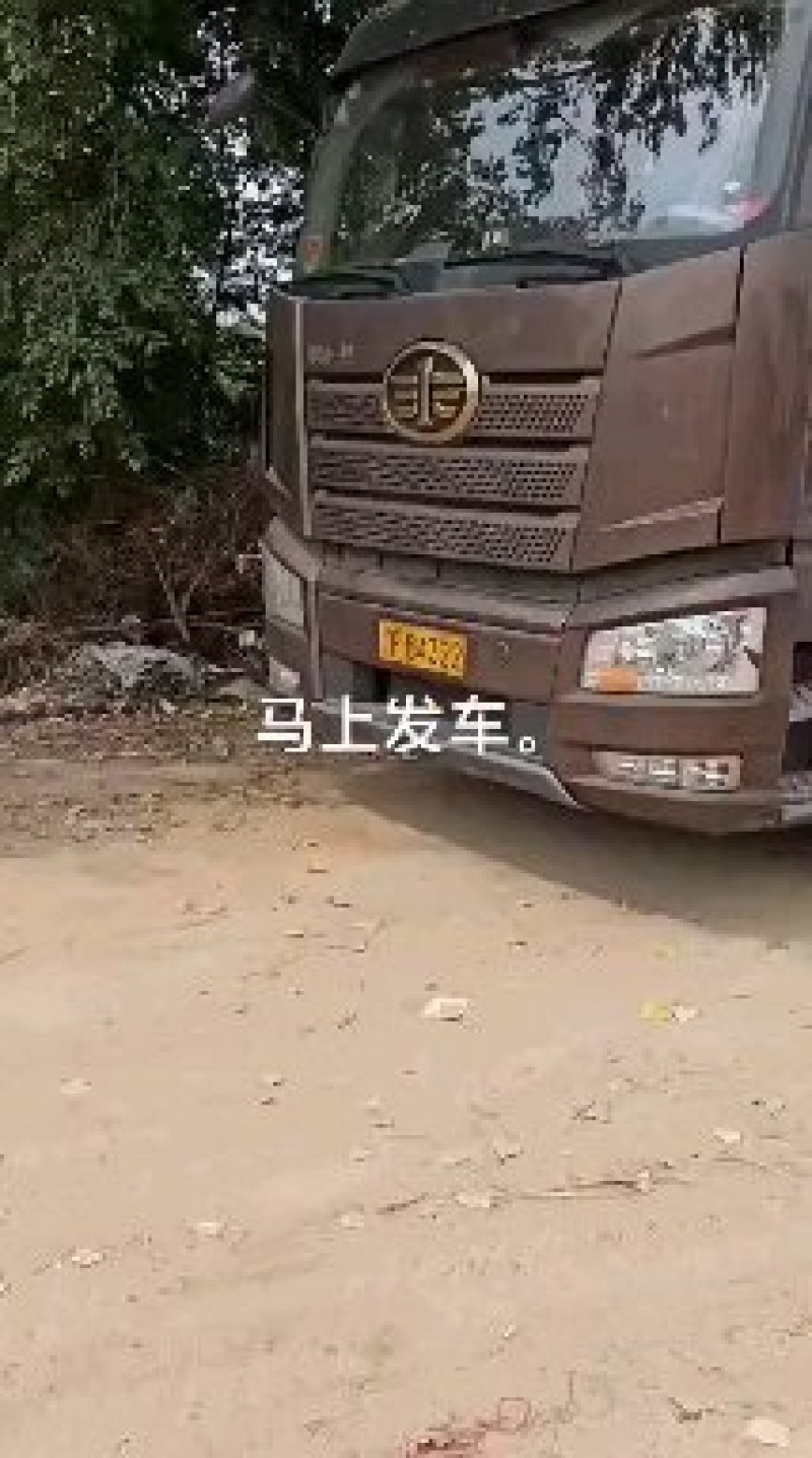 优质土豆