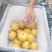 砀山圆黄梨大量上市诚信合作欢迎新老客户前来采购。