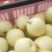 【实力】黄冠纸代白梨大量上市中皮薄肉细甘甜多汁保质保量。