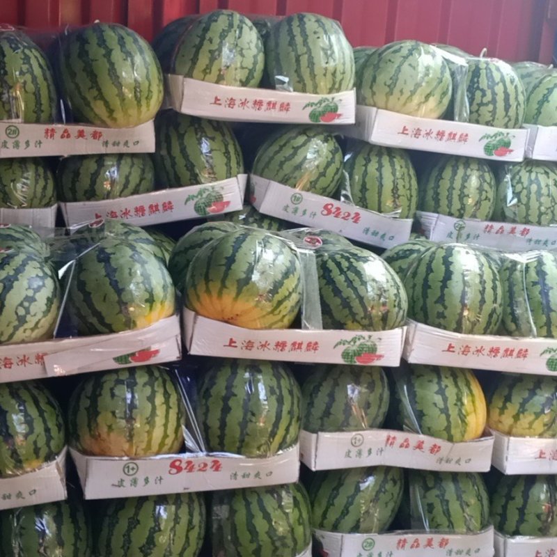 河南周口太康产区提供美都，供应量大
