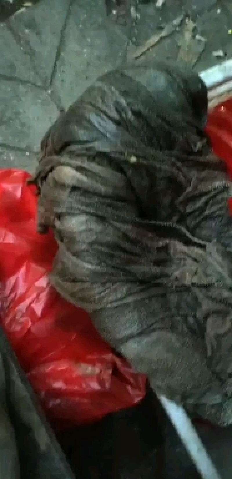 牛舌口条无淋巴。新鲜一手货源质量可靠，冷链快递都能发