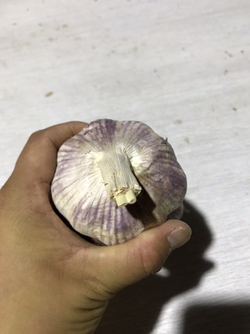 21年新货【紫皮大蒜】鲜蒜精品蒜瓣独头蒜物美价廉促销中